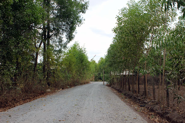 Bai-chon-lap-rac-sinh-hoat-cong-nghiep-nguy-hai